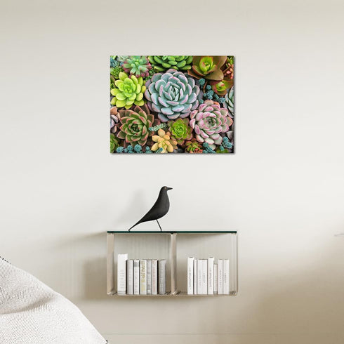 Adults Paint By Numbers Succulents Paint By Number Artwork DIY Cactus Numbers Painting Modern Beginners Paint By Numbers Art Lady Men Funny Painti...