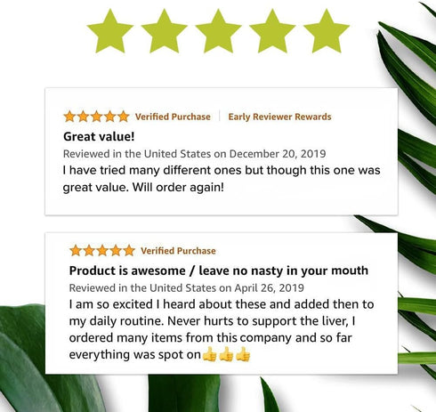 DSO Milk Thistle - Natural Liver Support - Supplement with Dandelion & Ginger Root - Liver Health Repair, Cleanse & Detox Assistance - Digestive S...
