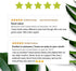 DSO Milk Thistle - Natural Liver Support - Supplement with Dandelion & Ginger Root - Liver Health Repair, Cleanse & Detox Assistance - Digestive S...
