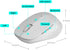 Rapoo M300G Silent Wireless Mouse, Bluetooth Mouse for Laptop, 2.4GHz with USB Receiver Computer Mouse, 2400 Adjustable DPI Optical Tracking, 1 Ye...