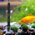 Mylivell Aquarium Heater Adjustable Submersible Fish Tank Heater 50W for 10-25 Gallon Small Aquarium Heater Mini Fish Betta Turtle Tank Heater The...