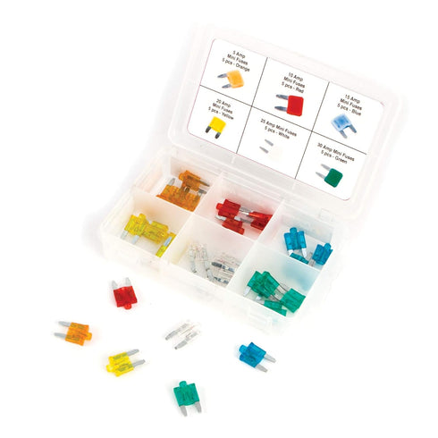 Performance Tool W5377 Mini Fuse Assortment, 30-Piece...