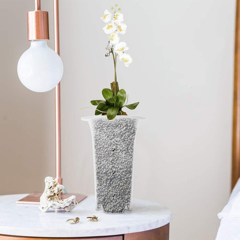 Beautyflier 6” Pack of 4 Clear Flower Pot Planter Plastic Orchid Pot with Holes Tall Plant Pots for Home Office Desk Garden Flower Shop Decoration...