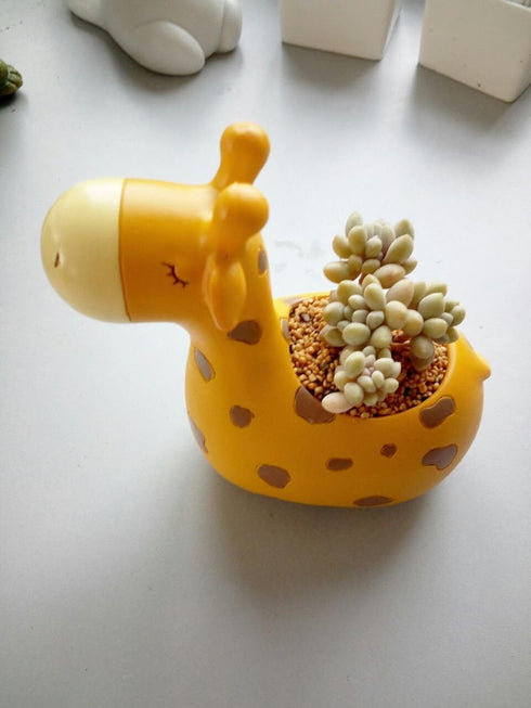 Succulent Pots,Cute Animal Giraffe Shaped Indoor Air Plant Holder Plant Pots-Plants Not in Included (4.92 inch Tall)...