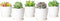 Mkono 4.5" Plastic Succulent Planters with Saucers, Indoor Set of 5 Nursery Pots Flower Plant Pot with Drainage for Small House Plants, Herbs and ...