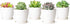 Mkono 4.5" Plastic Succulent Planters with Saucers, Indoor Set of 5 Nursery Pots Flower Plant Pot with Drainage for Small House Plants, Herbs and ...