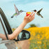 8 Packs Handheld Hummingbird Feeders Window Hummingbird Feeder with Perch Plastic Flower Finger Hummingbird Feeder Mini Hand Feeding Tools for Out...