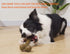 Tough Dog Toys for Aggressive Chewers, Indestructible Dog Toys, Nylon Dog Bones, Durable Tough Puppy Teething Toys, Interactive Dog Toys for Mediu...