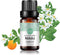 Neroli Essential Oil 100% Pure Oganic Plant Natrual Flower Essential Oil for Diffuser Message Skin Care - 10ML...