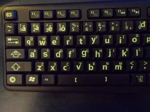 Vietnamese Keyboard Stickers with Fluorescent Inlays. Large Symbols Will Not Wear, Smudge or Fade. Vietnamese Conversion for All Laptop and Deskto...