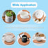 2-Pack 8" Round Cork Coasters - Plant Saucers & Trivets for Hot Pots, Absorbent Cork Mat for Drinks, DIY Craft Board...