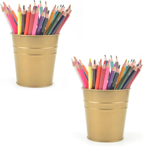 Pen Holder Cup For Desk Pencil Holder Metal Marker Pen Organizer Storage Small Tinplate Flower Pot Succulent Bucket Planters for Office Home - 2 P...