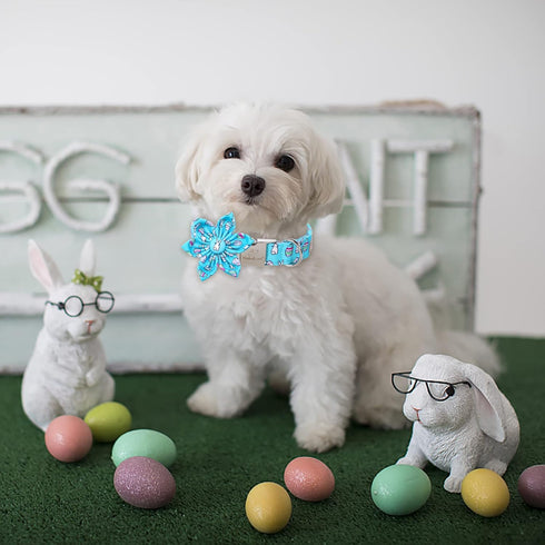 Dog Collar Easter Gift with Flower Tie, Rabbit Egg male Dog Collar with Safety Metal Buckle Adjustable Puppy Collars for Small Medium Large Boy & ...