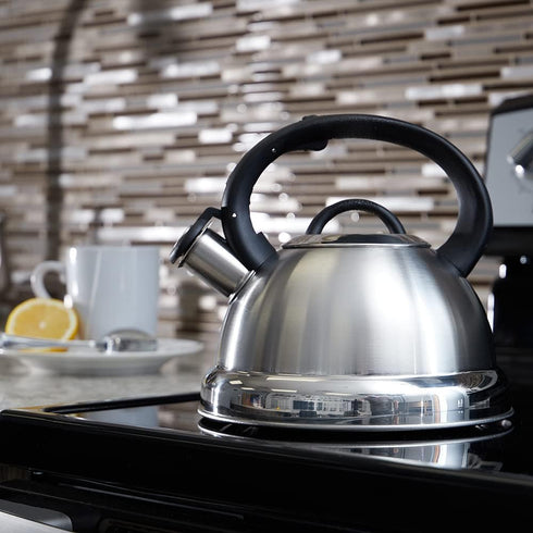 Home Basics Easy Grip 2.5 Lt Stainless Steel Tea Kettle, Silver...