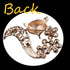 Vintage crystal rhinestones fox brooch women girl fashion personality jewelry Lapel Pin Safety Pin...