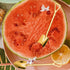 Golden Shovel Spoons for Desserts Coffee Tea Shovel Spoon Set Grapefruit Spoons Set of 2 Flat Watertermelon Ice Cream Spoons Gifts for Ice Cream L...
