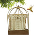 Bird Feeder Hanging Suet Bird Feeders Seed CakesBird Feeder,Outdoor Garden Decoration for Wild Backyard Attracting Birds (Golden)...