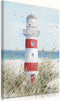 Beach Decor Lighthouse Wall Art: Seagull Decor Ocean Canvas Prints Sea birds Paintings Sailboats Pictures Teal Seascape Decorations for Home Livin...