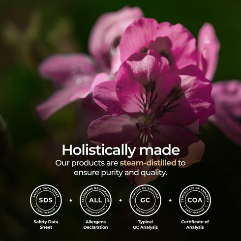 Gya Labs Organic Rose Geranium Essential Oil for Skin - Organic Geranium Essential Oil for Diffuser - Rose Geranium Essential Oil Organic for Arom...