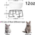 Ceramic Raised Cat Dishes or Small Dog Bowl with Metal Stand 12 Ounces, Pet Food or Water Bowls, White...