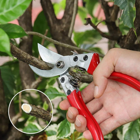 8" Pruning Shears, Professional Bypass Garden Shear Hand Pruners Gardening Shears Clippers for Plants, Flower Cutter Florist Scissors Trimming Sci...