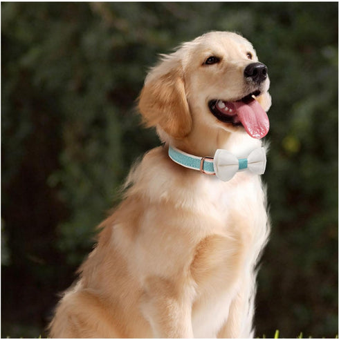 Dog Collar,Metal Buckle Pet Collar Suede Dog Collar Soft&Comfy Adjustable Pet Gift Collars with Bow for Small Medium Large Dogs (Small, Blue&White...
