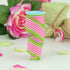 Vertical Stripe & Polka Dot Edge Wired Edge Ribbon - 2.5" x 10 Yards (White, Hot Pink, Lime Green)...