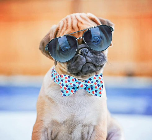 Summer Dog Collar Bow Tie Blue Ice Cream Dog Collar, DOGWONG Comfortable Adjustable Puppy Collars with Secure Metal Buckle for Small Medium Large ...