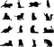 A Room with Cats Wall Decals-Cute Animal Stickers for Kids Room Bedroom Nursery Playroom Decor...