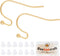 Beebeecraft 1 Box 200Pcs French Earring Hooks 18K Gold Plated Fish Hook Ear Wires Kit with Plastic Ear Nuts for DIY Women Earring Jewelry Making...