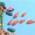 MAOMIA 40Pcs Miniature Fish Figurines Resin Fish Tank Decoration Fairy Garden Mini Goldfish Micro Landscape Decor Ornament...