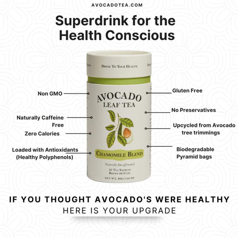 Avocado Leaf/Chamomile Tea – Caffeine-free, Herbal Tea | Immune Support | Cold Brew or Hot Tea | 15 Tea Bags - 30 Servings (Gluten Free & Non-GMO)...