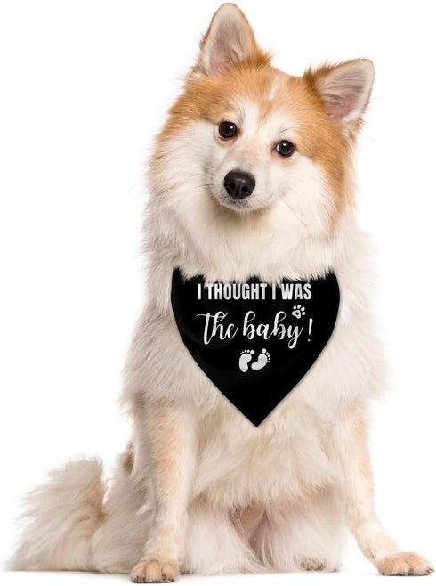 I Thought I was The Baby Dog Bandana, Dog Bandana, Dog Scarf Accessories, Dog Triangle Scarf, Dog Bandana for Small Medium Large Dog, Pregnancy An...