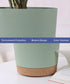 kubvici Indoor Plant Pots Set of 2 Planters 8 inch Plastic Planter with Hole & Saucer Modern Decorative for Outdoor Garden Home (Green, 8 inch)...
