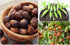 AnNafi® Reetha | Organic Soap Nuts | Aritha/Areetha/Kunkudukaialu | Sapindus used for making Reetha Powder, Ritha Shampoo, Oil | Natural Hair Care...