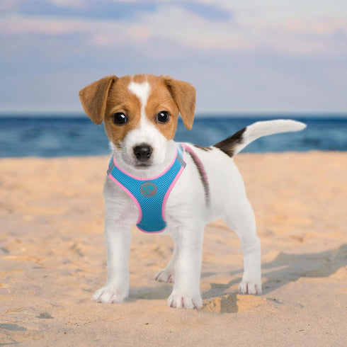 PHOEPET Step-in Dog Harness,Reflective Adjustable Dog Vest Harness, Soft Pet Walking Jacket with 2 Metal Leash Hooks for Dog and Cat(Baby Blue Bas...