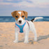 PHOEPET Step-in Dog Harness,Reflective Adjustable Dog Vest Harness, Soft Pet Walking Jacket with 2 Metal Leash Hooks for Dog and Cat(Baby Blue Bas...