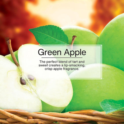 LITTLE TREES Car Air Freshener. Fiber Can Provides a Long-Lasting Scent for Auto or Home. Recycled Fiber. Green Apple, 4 Air Fresheners...