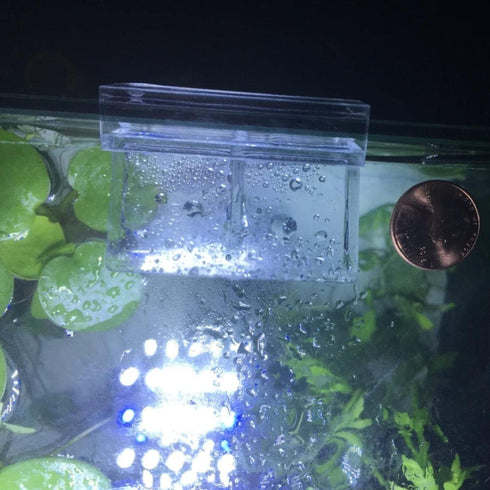 20 Pieces Aquarium Lid Clips 5mm for Rimless Aquarium Acrylic Fish Tank Glass Cover Clip Support Holder...