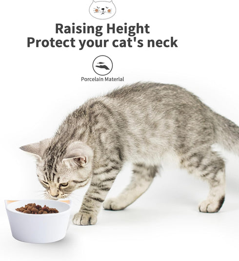 TAMAYKIM Ceramic Kitten Dish, Food and Water Raised Bowls Set for Cats, Porcelain Elevated Stress Free Feeding Pet Dish, 4 Pack, White...