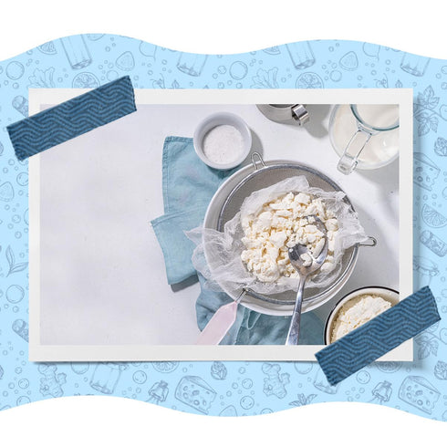 Fermentaholics DIY Fresh Cheese Making Kit - Ricotta, Mozzarella, Burrata, Paneer, Cottage Cheese, etc. - Includes Rennet for Cheese Making, Chees...