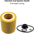 Oil Filter Element Fit for BMW 228i 320i 328i 428i 528i X1 X4 Z6 F20 F21 F30 F31 Some Models, Replace HU816Z 11427953125 11427640862, with O-ring ...