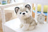 Plush Husky Dog Stuffed Animals Puppy Toys Dolls Gifts for Kids Boys Girls 8 Inches...
