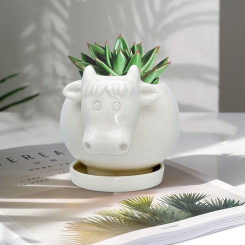 GeLive White Cow Ceramic Succulent Planter Tabletop Animal Plant Pot with Drainage Tray Indoor Cow Stuff Pen Pencil Brush Holder Desk Organizer De...