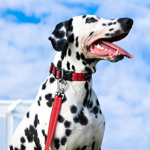 EXCELLENT ELITE SPANKER Reflective Dog Collar Classic Breathable Nylon Adjustable Pet Collar with Quick Release Buckle for Boy Girl Male Female Pu...