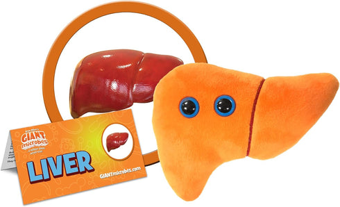 GIANTmicrobes Stuffed Liver Plush, Liver Stuffed Animal, Anatomical Liver, Hepatologist Gift, Liver Transplant Gifts, Hepatitis Gift, Hepatology G...