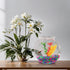 Koller Products 1-Gallon Fish Bowl, Shatterproof Plastic with Crystal Clear Clarity...
