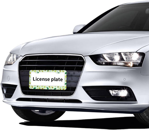 Delerain Green Avocados License Plate Frame, Car Tag Cover Stainless Steel Metal Aluminum Frame for US Standard 2 Flat Holes (Set of 2)...