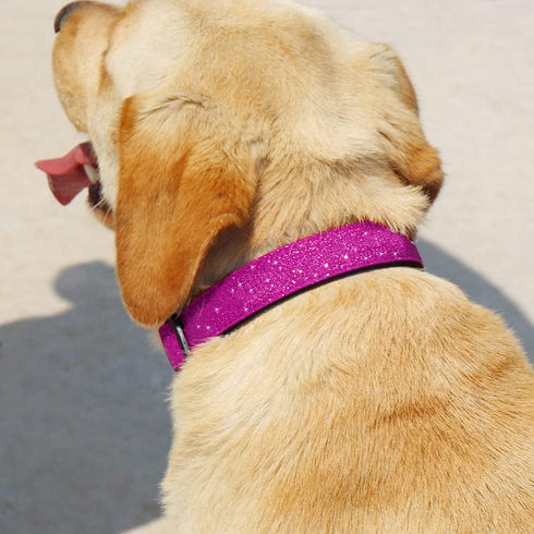 Glittering Basic Dog Collar, Comfy & Durable Dog Collar for Small Medium Large Dogs with Eco-Friendly Plastic Buckle, Adjustable Stylish Nylon Dog...