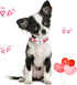 ARING PET Valentine's Day Dog Collar-Cute Pink Heart Dog Collar, Adjustable Valentine Pet Collars Puppy Collar with Quick Release Buckle for Small...